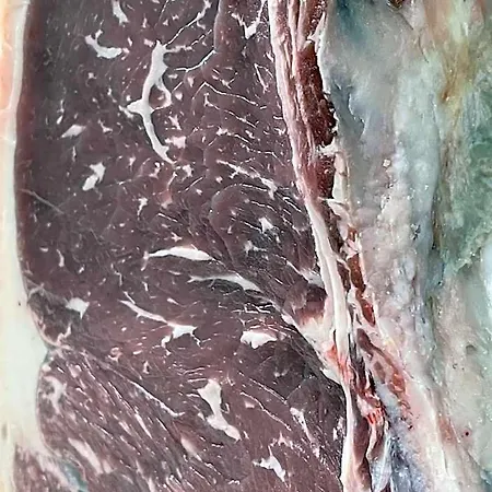 La Pineta 3*